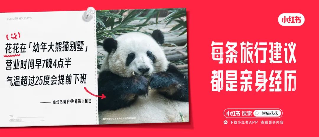 小紅(hóng)書 旅行建議(yì).jpg