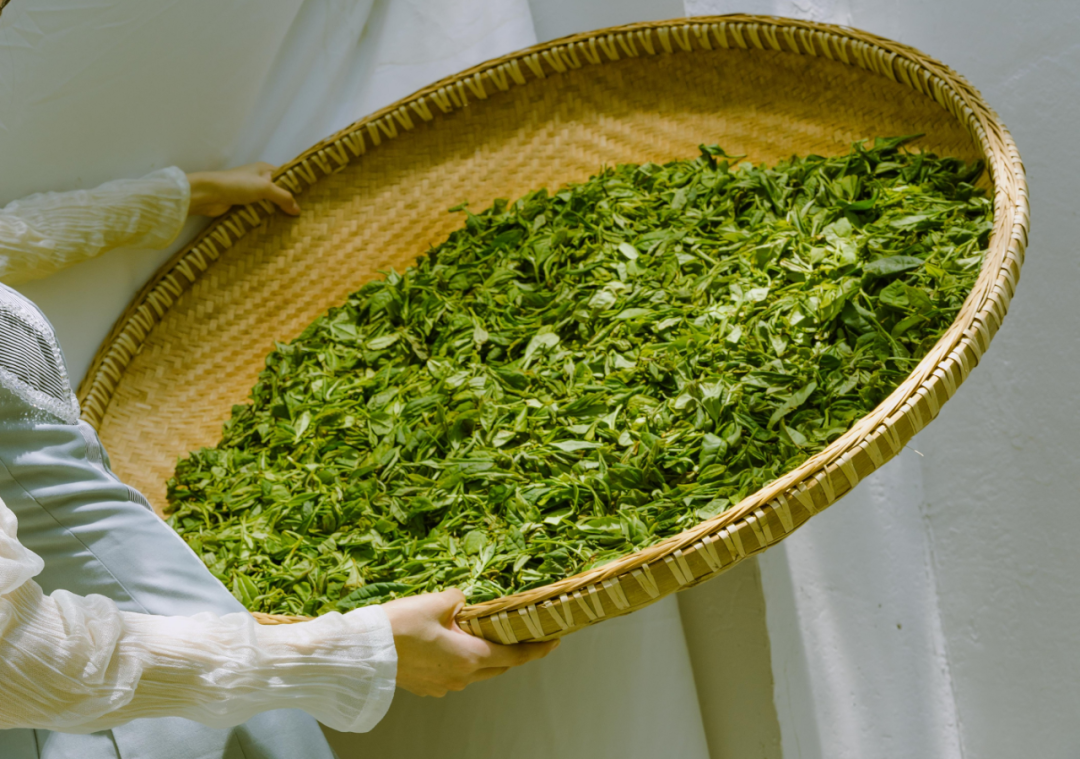 微信圖片_20220228190829.png 微信圖片_20220228190829.png